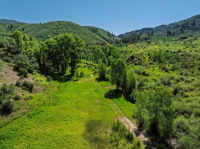 Introducing Mad Mountain Ranch, a very rare opportunity on 213 - photo 27