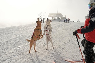 Welcome to Crystal View at Schweitzer! A truly unrivaled - photo 38