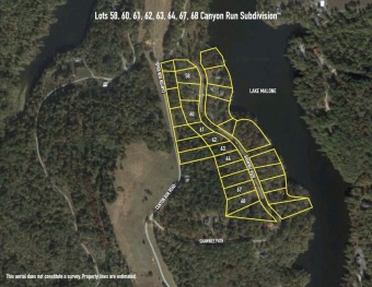 Building Lot in Canyon Run - Lake Lot For Sale in Lewisburg, Kentucky