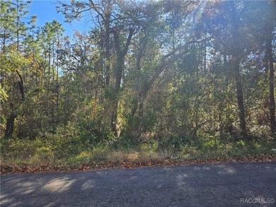 (private lake, pond, creek) Lot For Sale in Lecanto Florida