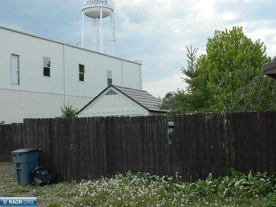 Located on Main Street in Littlefork, this building gives plenty - photo 8