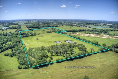 MULTI-GENERATIONAL OPPORTUNITY. BUY LAND- They aren't making - photo 5