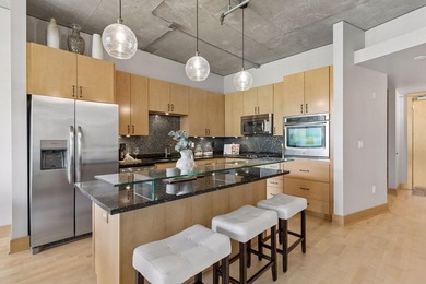 Welcome to the Village Lofts at St. Anthony Falls in one of the - photo 5
