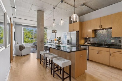 Welcome to the Village Lofts at St. Anthony Falls in one of the - photo 6