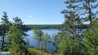 Rare opportunity to own 45 acres of mostly high-ground, classic - photo 4