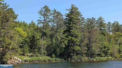 Rare opportunity to own 45 acres of mostly high-ground, classic - photo 5