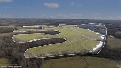 (private lake, pond, creek) Acreage For Sale in Lewisburg Kentucky