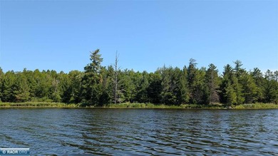 Exceptional opportunity to own 40 acres of traditional Northern - photo 6