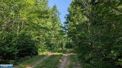 Exceptional opportunity to own 40 acres of traditional Northern - photo 8