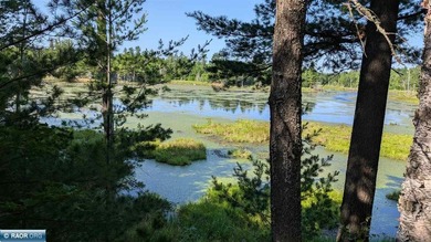 Exceptional opportunity to own 40 acres of traditional Northern - photo 9