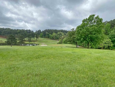 Escape to your own private retreat on this stunning 3.01-acre - photo 17