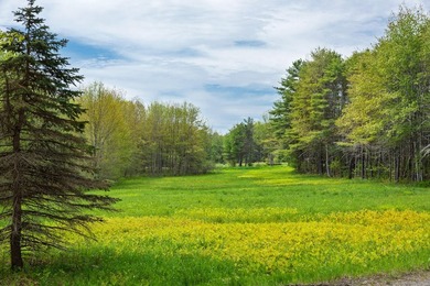 Just south of Fiddlers Reach, where the Kennebec River widens - photo 17