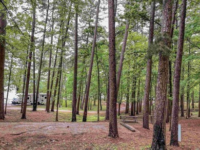 Escape to your own private retreat on this stunning 3.01-acre - photo 21