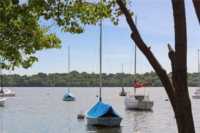 Lake Condo For Sale in Minneapolis, Minnesota