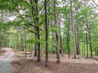 Escape to your own private retreat on this stunning 3.01-acre - photo 22