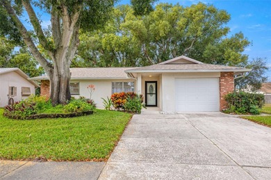 Lake Tarpon Home For Sale in Palm Harbor Florida