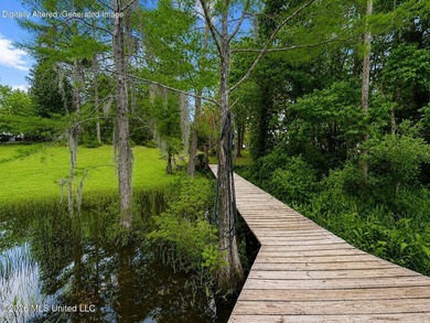 Looking for a waterfront property for your dream home? This lot - photo 4