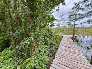 Looking for a waterfront property for your dream home? This lot - photo 9