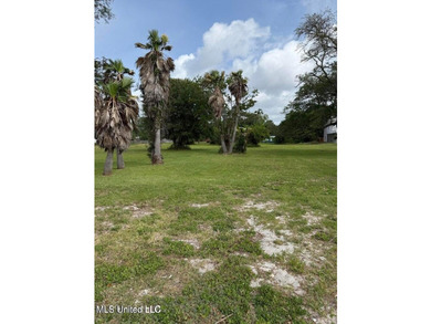 Welcome to paradise in Biloxi, Mississippi! This stunning - photo 2