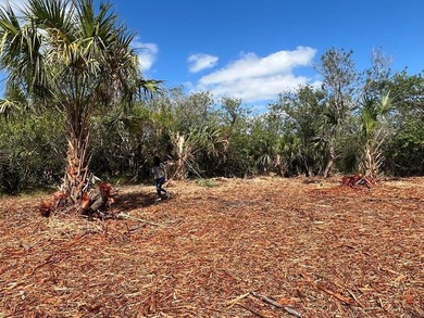 ***Highest and Best Offers ONLY*** This cleared vacant lot at - photo 3