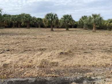 ***Highest and Best Offers ONLY*** This cleared vacant lot at - photo 5