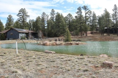 (private lake, pond, creek) Home For Sale in Show Low Arizona