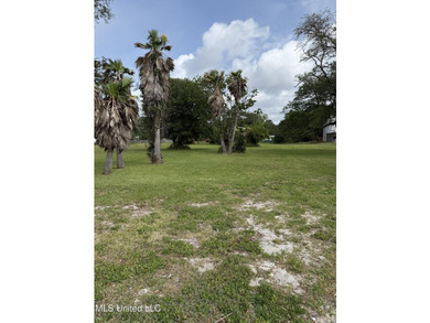 Welcome to paradise in Biloxi, Mississippi! This stunning - photo 2
