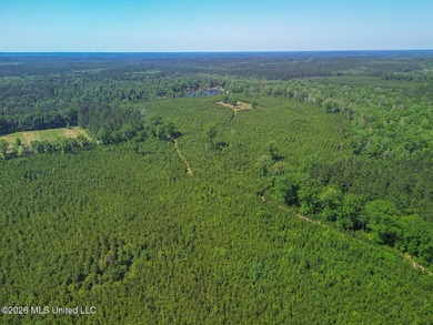 Tucked away among the rolling hills of South Mississippi, this - photo 4