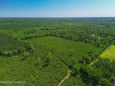 Tucked away among the rolling hills of South Mississippi, this - photo 5