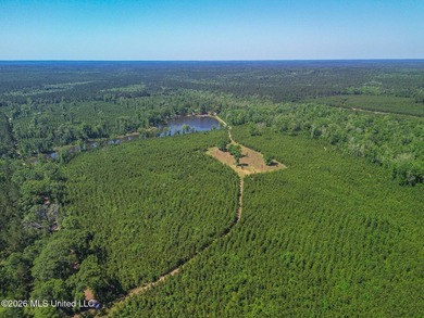 Tucked away among the rolling hills of South Mississippi, this - photo 6