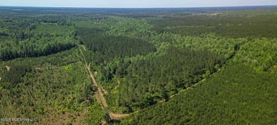 Tucked away among the rolling hills of South Mississippi, this - photo 7