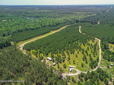 Tucked away among the rolling hills of South Mississippi, this - photo 9