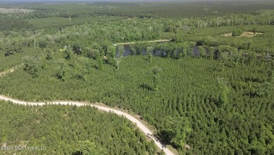 Tucked away among the rolling hills of South Mississippi, this - photo 10