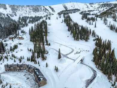 Welcome to Crystal View at Schweitzer! A truly unrivaled - photo 11