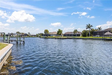Gulf-access canal frontage - Brand-new pool & spa - Dual-zone - photo 6