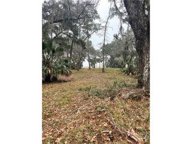 2050 Belle Hammock Rd NE - photo 3