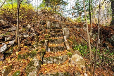 In a city where grand estates were once carved into the - photo 48