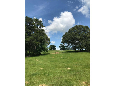 (private lake, pond, creek) Acreage For Sale in Troup Texas