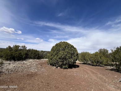 White Mountain Lake Lot Sale Pending in Show Low Arizona