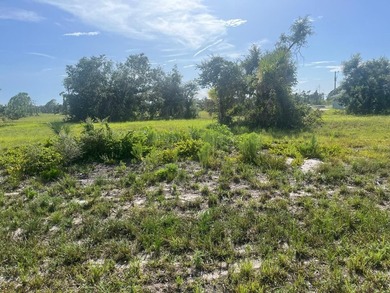 Build your dream home or secure a smart investment opportunity - photo 3