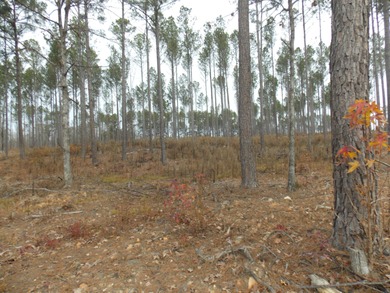 Strom Thurmond / Clarks Hill Lake Acreage For Sale in Lincolnton Georgia