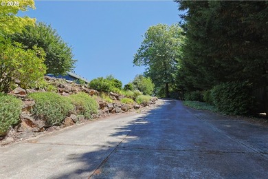 Thoughtfully designed with spacious rooms and an open, vaulted - photo 48
