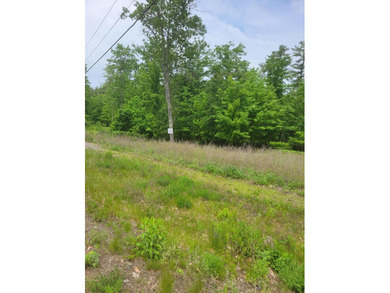 4.44 acre partially cleared site located at the intersection of - photo 3