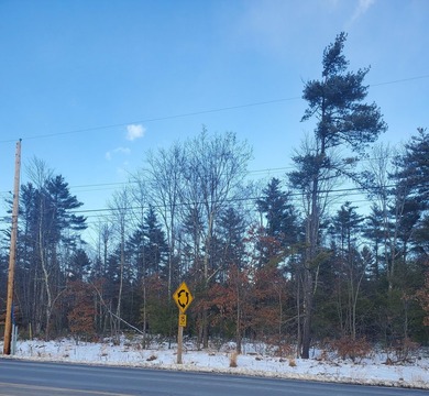 4.44 acre partially cleared site located at the intersection of - photo 5