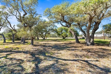 COMMERCIAL ACRE - Located on Pearl Street just off Hwy 35, this - photo 8