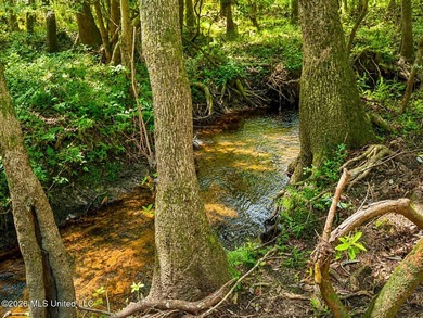 Enjoy the peaceful sounds of a bubbling creek on this beautiful - photo 11