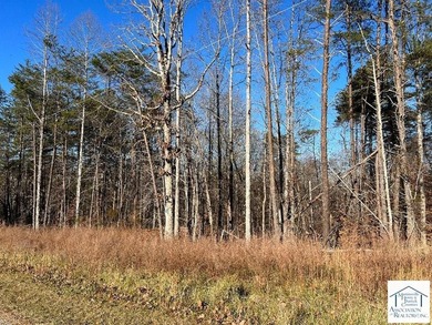 Great location, small private gravel road, slightly wooded near - photo 1