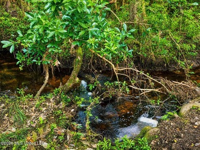 Enjoy the peaceful sounds of a bubbling creek on this beautiful - photo 12