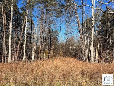 Great location, small private gravel road, slightly wooded near - photo 2