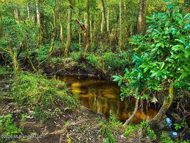 Enjoy the peaceful sounds of a bubbling creek on this beautiful - photo 13